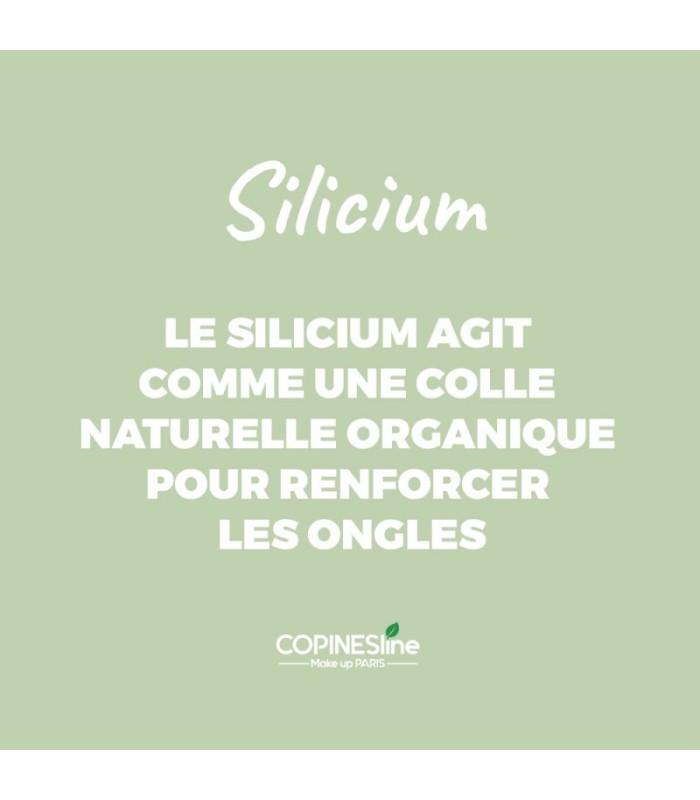 Le Vernis au silicium Taupe