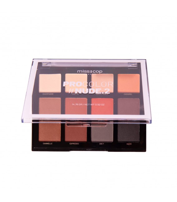 PALETTE - PROCOLOR 2