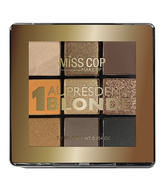 PALETTES NUANCIER 01 BLONDE