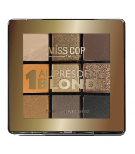 PALETTES NUANCIER 01 BLONDE