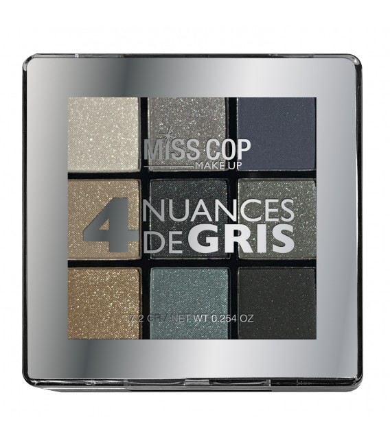 PALETTES NUANCIER 04 GRIS