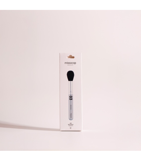 Pinceau illuminateur N°03
