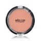 Compact powder