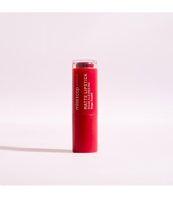 ROUGE A LEVRES MAT