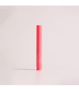 Rouge à lèvres feutre PERFECT COLOR
