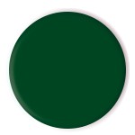 08 - Kiwi